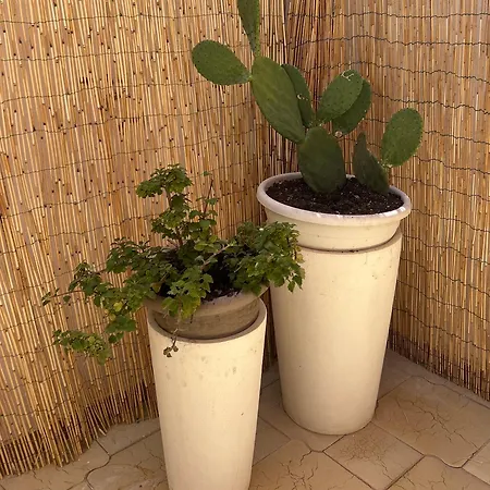 Volta A Stella Nardò