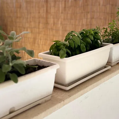 Volta A Stella Σπίτι διακοπών Nardò