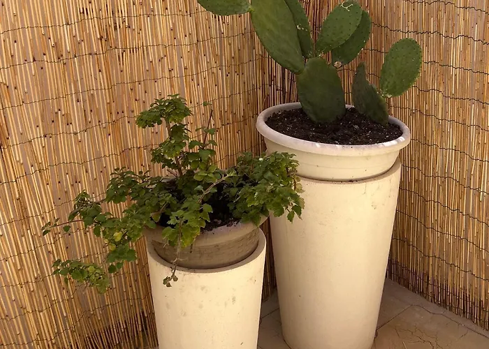 Volta A Stella Nardò